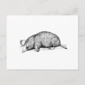 Mole Briefkaart (Voorkant)