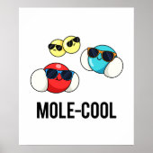 Mole-Cool Funny Molecule Pun Poster (Voorkant)