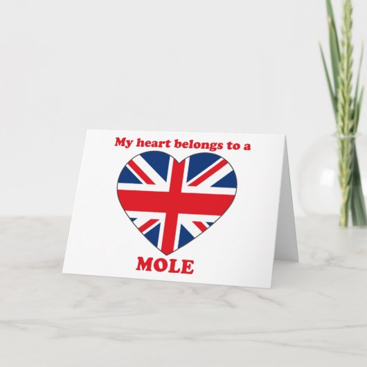 Mole Feestdagen Kaart (Voorkant)