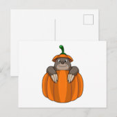 Mole met pompoen briefkaart (Voorkant / Achterkant)