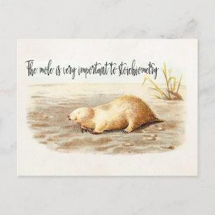 Mole Stoichiometry Chemistry Quote Science Humor Briefkaart