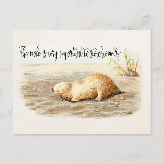 Mole Stoichiometry Chemistry Quote Science Humor Briefkaart (Voorkant)