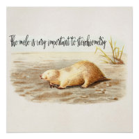 Mole Stoichiometry Chemistry Quote Science Humor