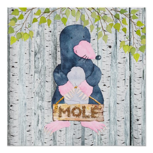 Mole - Woodland Friends - illustratie van de Water Perfect Poster (Voorkant)