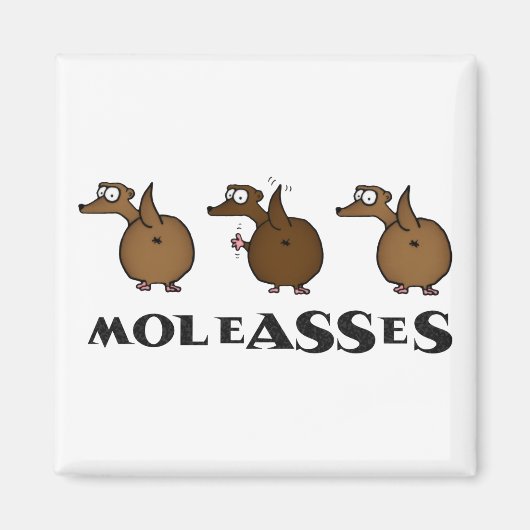Moleasses Magneet (Voorkant)