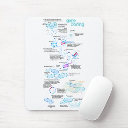 Moleculair klonen met bacteriën en plasmiden muismat (Met muis)