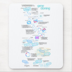 Moleculair klonen met bacteriën en plasmiden muismat
