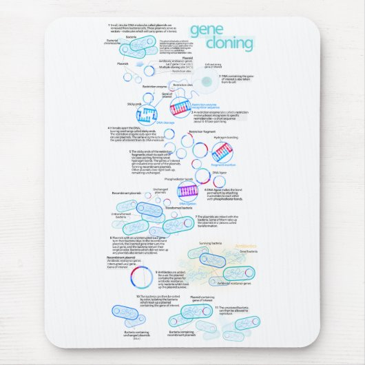 Moleculair klonen met bacteriën en plasmiden muismat (Voorkant)