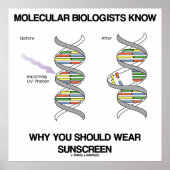 Moleculaire biologen weten waarom je het zonnesche poster (Voorkant)