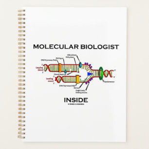 Moleculaire bioloog in DNA-replicatie Planner