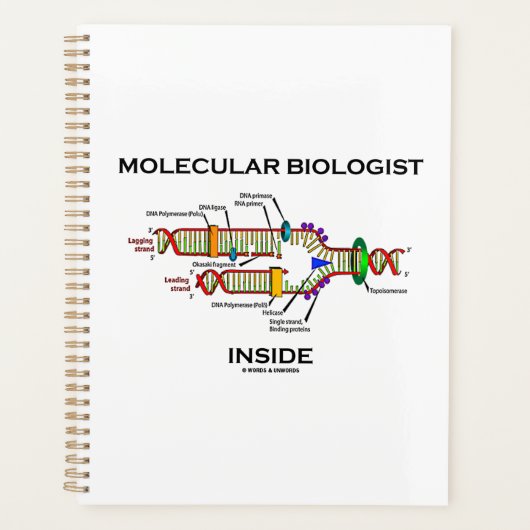 Moleculaire bioloog in DNA-replicatie Planner (Voorkant)
