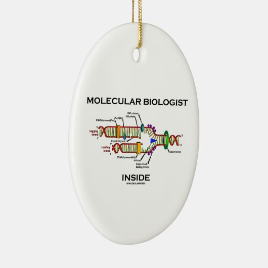 Moleculaire bioloog Inside (DNA-replicatie) Keramisch Ornament (Rechts)