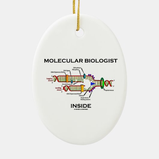 Moleculaire bioloog Inside (DNA-replicatie) Keramisch Ornament (Achterkant)