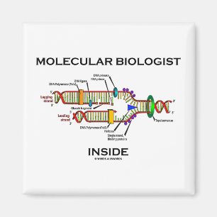 Moleculaire bioloog Inside (DNA-replicatie) Magneet