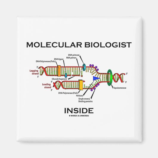 Moleculaire bioloog Inside (DNA-replicatie) Magneet (Voorkant)