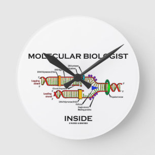 Moleculaire bioloog Inside (DNA-replicatie) Ronde Klok