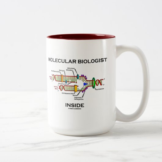 Moleculaire bioloog Inside (DNA-replicatie) Tweekleurige Koffiemok (Rechts)
