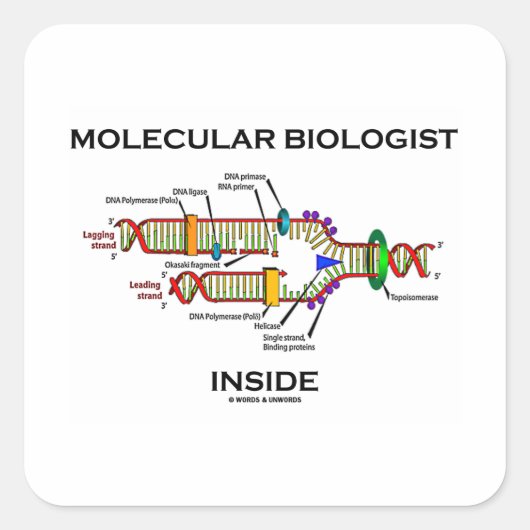 Moleculaire bioloog Inside (DNA-replicatie) Vierkante Sticker (Voorkant)
