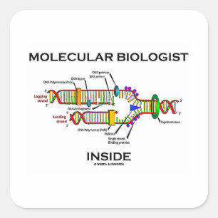 Moleculaire bioloog Inside (DNA-replicatie) Vierkante Sticker