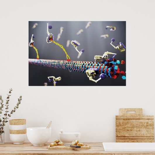 Moleculaire machines poster (Keuken)