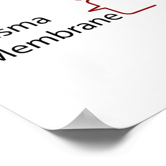 Moleculaire structuur van de wand van de primaire poster (Hoek)