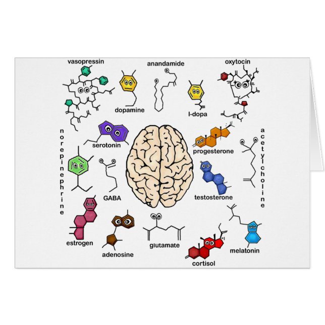 Molecules Galore. (Voorkant Horizontaal)