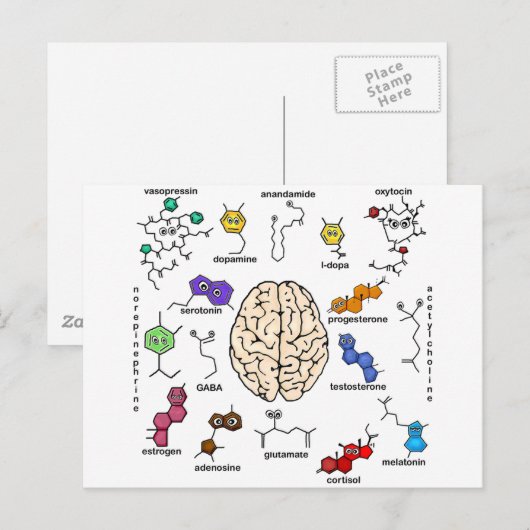 Molecules Galore. Briefkaart (Voorkant / Achterkant)