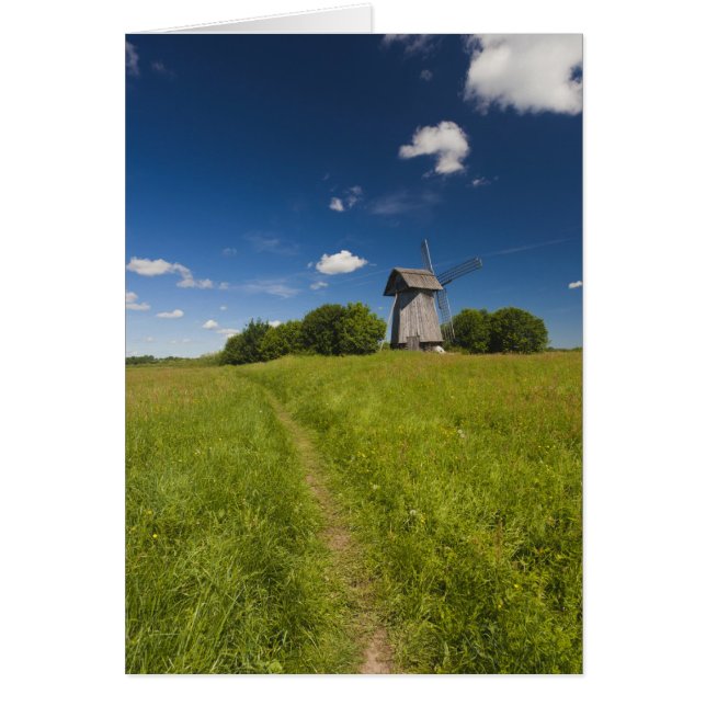 Molen bij Mikhailovskoye (Voorkant)