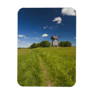 Molen bij Mikhailovskoye Magneet