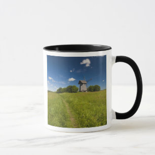 Molen bij Mikhailovskoye Mok
