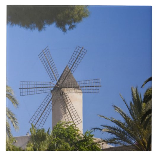 Molen, Palma, Mallorca, Spanje Tegeltje (Voorkant)