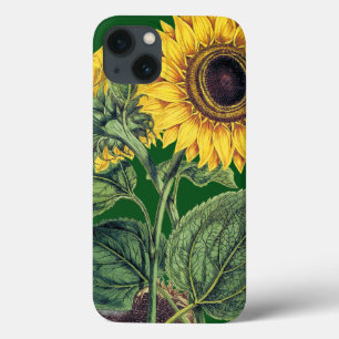 Molenaar: Zonnebloem iPhone 13 Hoesje