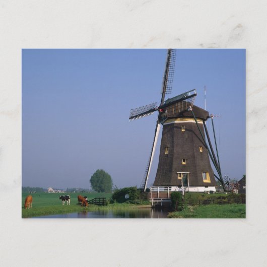 Molens, Leidschendam, Nederland Briefkaart (Voorkant)