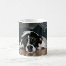 "Molli" Rat Terrier Mok