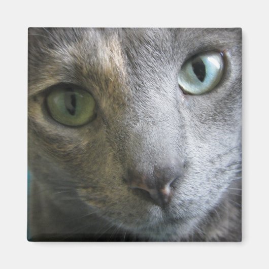 Mollie Magneet (Voorkant)