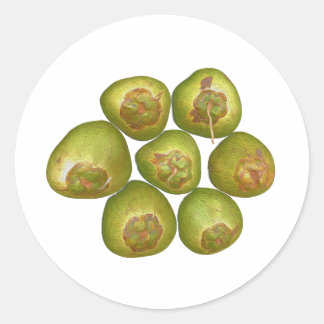 mollig groene kokosnoot ronde sticker