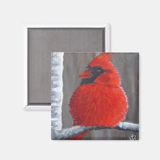 mollig kardinaal - magneet (Voorkant / Achterkant)