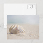 Mollusk Seashell Briefkaart (Voorkant / Achterkant)