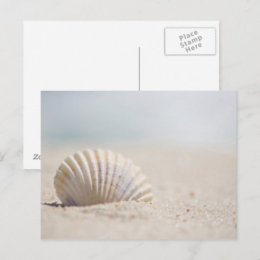 Mollusk Seashell Briefkaart (Voorkant / Achterkant)