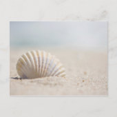 Mollusk Seashell Briefkaart (Voorkant)