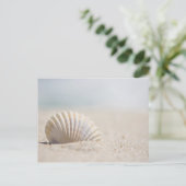 Mollusk Seashell Briefkaart (Staand voorkant)