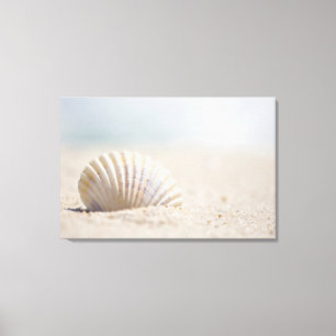 Mollusk Seashell Canvas Afdruk
