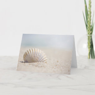 Mollusk Seashell Kaart