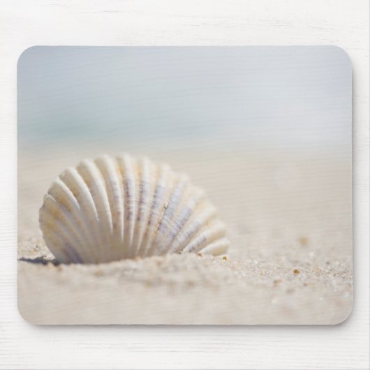 Mollusk Seashell Muismat (Voorkant)