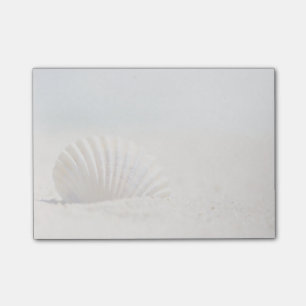 Mollusk Seashell Post-it® Notes