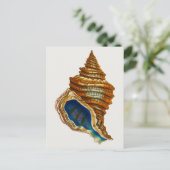  Mollusk Shell van George Shaw Briefkaart (Staand voorkant)