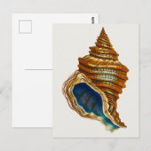  Mollusk Shell van George Shaw Briefkaart (Voorkant / Achterkant)