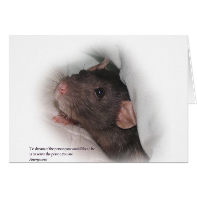 Molly1met (Voorkant Horizontaal)