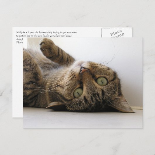 Molly Aankondigingskaart (Voorkant / Achterkant)