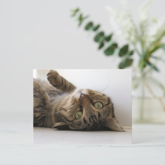 Molly Aankondigingskaart (Staand voorkant)